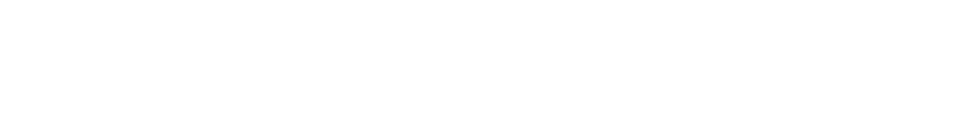 Coach Group